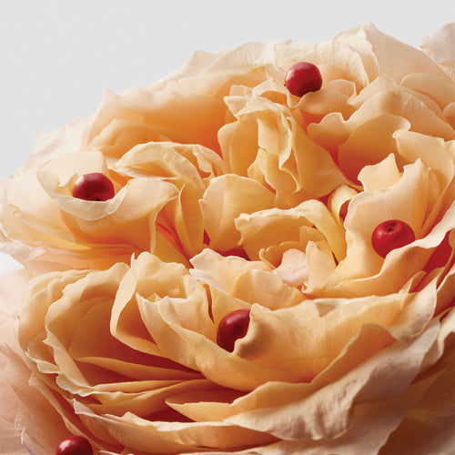 APRILIS EAU DE PARFUM
