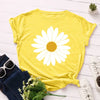 Women's Tshirts Short Sleeve T-shirt Female 100% Cotton Tops Summer Graphic Tee Shirt Oversized Woman Clothing
